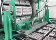 دستگاه تولید سینی تخم مرغ چرخان / تجهیزات سینی تخم مرغ صرفه جویی در مصرف انرژی