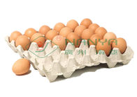 خط تولید سینی 100 کیلو گرم تخم مرغ