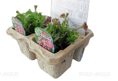 دستگاه قالب دهی کاغذی برای بسته بندی صنعتی