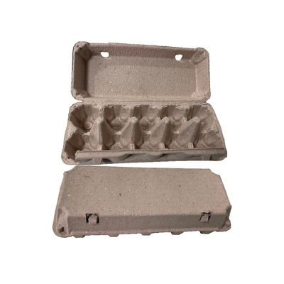 سینی تخم مرغ گیربکس تمام اتومبیل / دستگاه ساخت کارتن / خط خشک کردن 6 لایه 2400 قطعه در ساعت