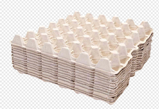 ماشین آلات کارتن تخم مرغ کاغذ قالب گیری کاغذ با خط خشک کردن تک لایه 2800PCS / H