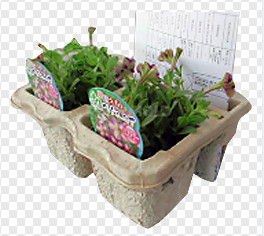 ماشین آلات کارتن تخم مرغ کاغذ قالب گیری کاغذ با خط خشک کردن تک لایه 2800PCS / H