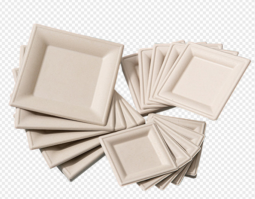 تجهیزات ریخته گری اتوماتیک زیست تخریب پذیر Bagasse / دستگاه ساخت بشقاب