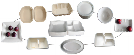 Thermoform Take Away Food Box Plate ساخت دستگاه 7000Pcs / H
