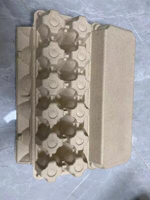 جعبه تخم مرغ کاملا اتوماتیک / دستگاه ظرف / تولید انبوه