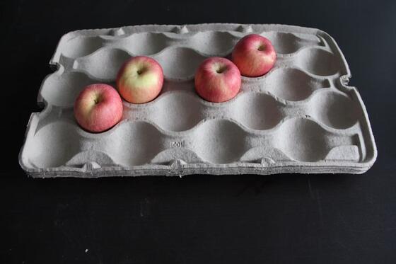 دستگاه تولید سینی تخم مرغ کاغذی با قابلیت استفاده از دستگاه های متوسط ​​با خشک کن