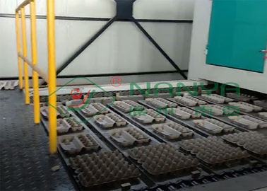 دستگاه ساخت سینی کاملاً خودکار برای سینی تخم مرغ / کارتن تخم مرغ / خط تولید جام بذر