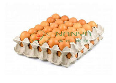 سینی تخمگذار چرخش تخم مرغ چرخش اتوماتیک / خط تولید کارتن تخم مرغ