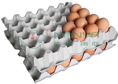 سینی کاغذ تخم مرغ کاغذ زباله و تجهیزات ساخت پالپ قالب بندی شده برای کفش