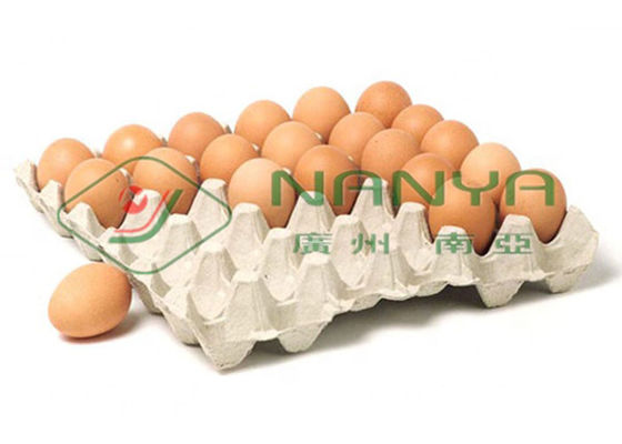 خط خشک کن قالب گیری کاغذ نوار نقاله تخت / خط خشک کن چندگانه