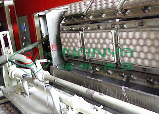 سینی میوه ای 250kw تخم مرغ سینی ساخت دستگاه خلاء مکش دستگاه 600m2