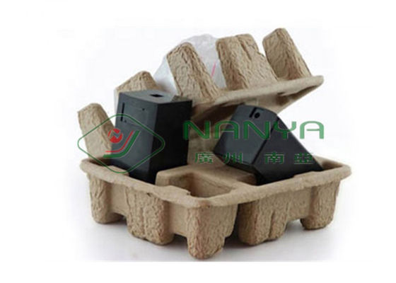 تشکیل دستگاه سینی کاغذ میوه ای با راندمان بالا - فرآیند خشک کردن 2000Pcs / H