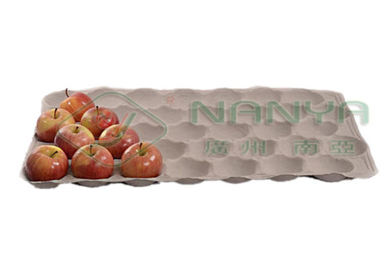 دستگاه کارتن اتوماتیک تخم مرغ با دستگاه بازپرداخت قالب پالپ 2800Pcs / H