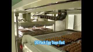 دستگاه قالب گیری خودکار خمیر کاغذ برای سینی تخم مرغ / دستگاه سینی تخم مرغ کوچک / دستگاه سینی تخم مرغ بسته بندی شده 30