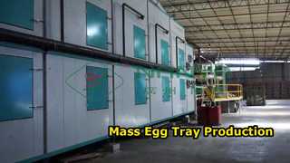 دستگاه سینی تخم مرغ تمام اتوماتیک / سینی تخم مرغ تولید انبوه / آمچین کارتن سازی