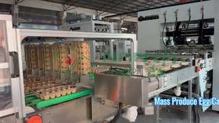 دستگاه کارتن سازی تمام اتوماتیک تخم مرغ / سینی تخم مرغ تولید انبوه / آمچین کارتن سازی